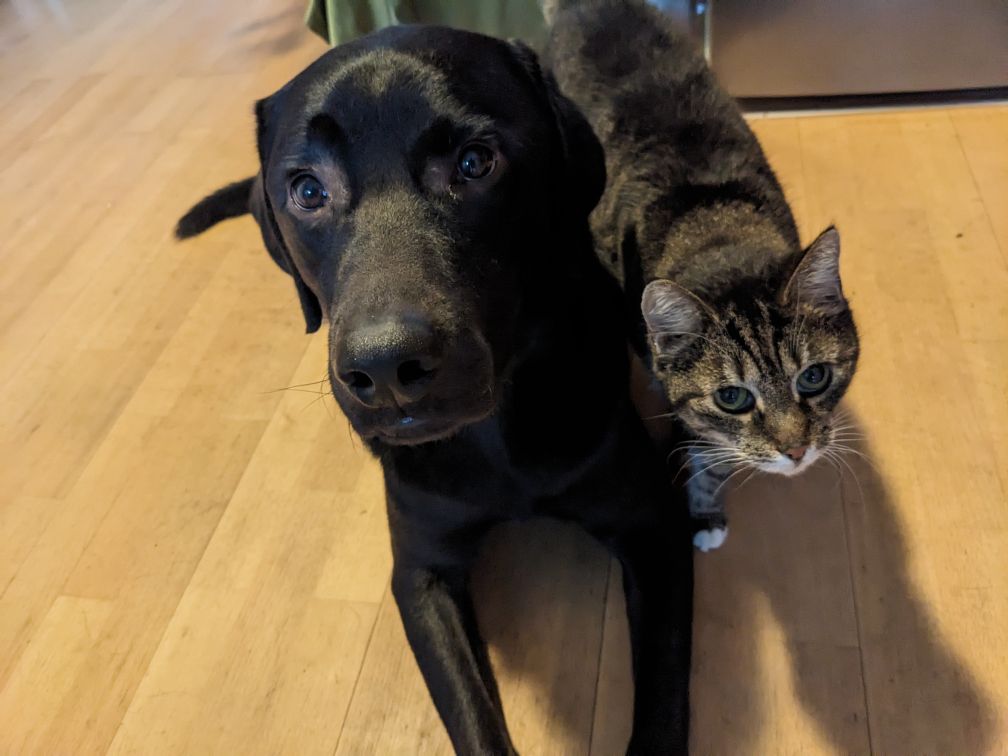Sudo