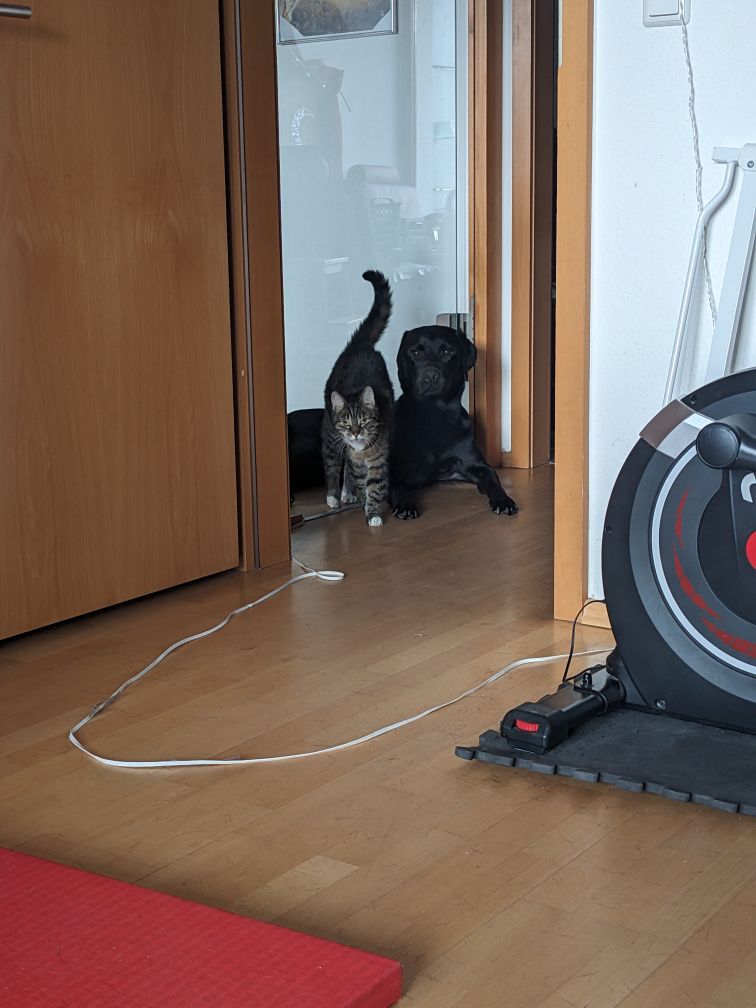Sudo