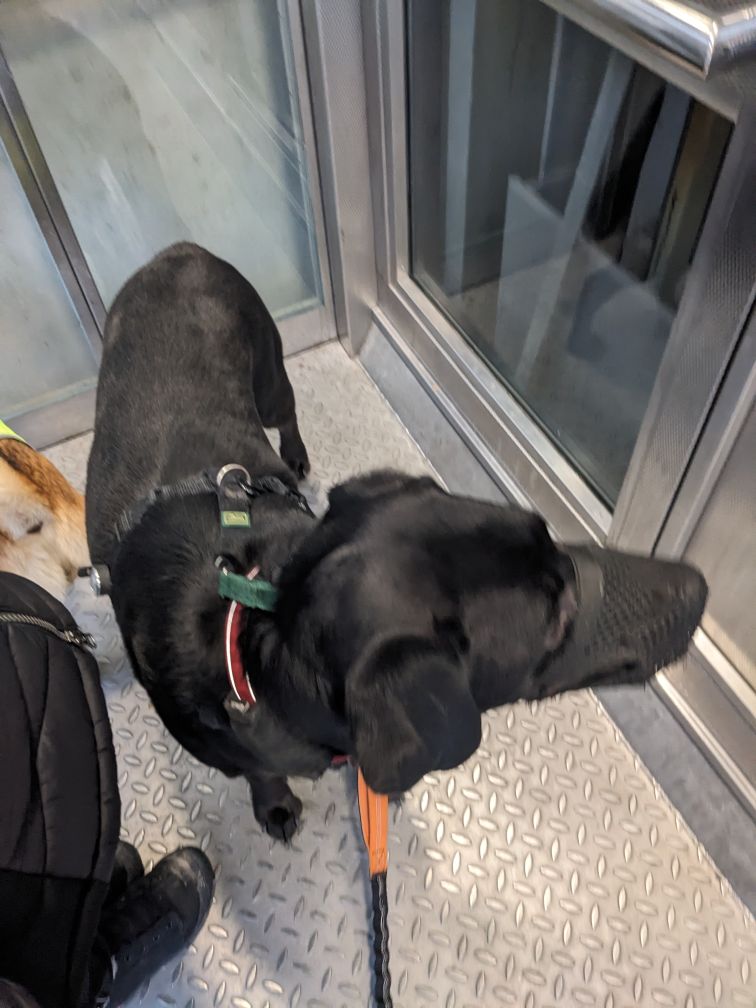 Sudo