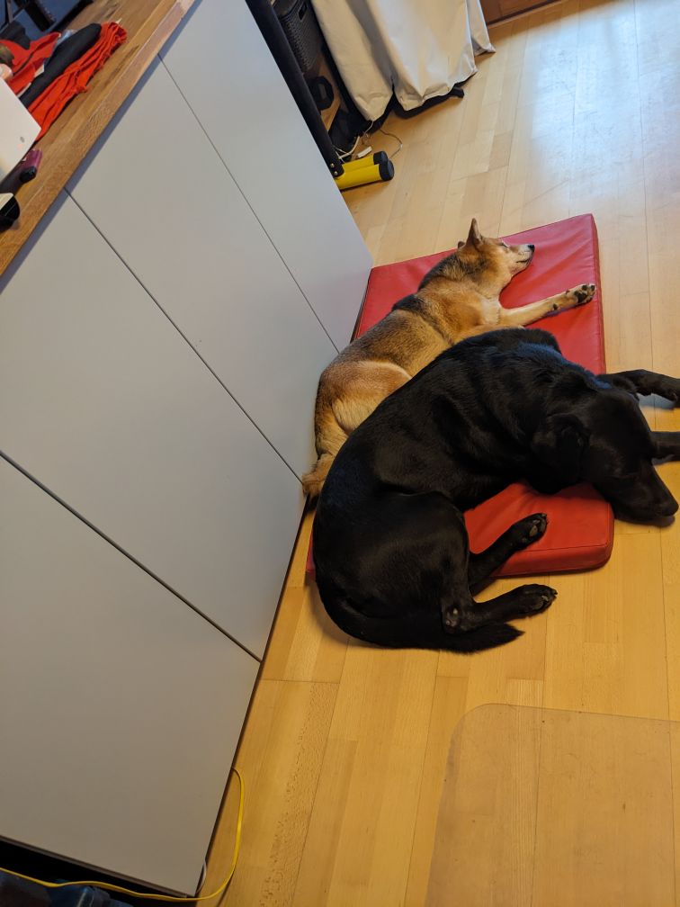 Sudo