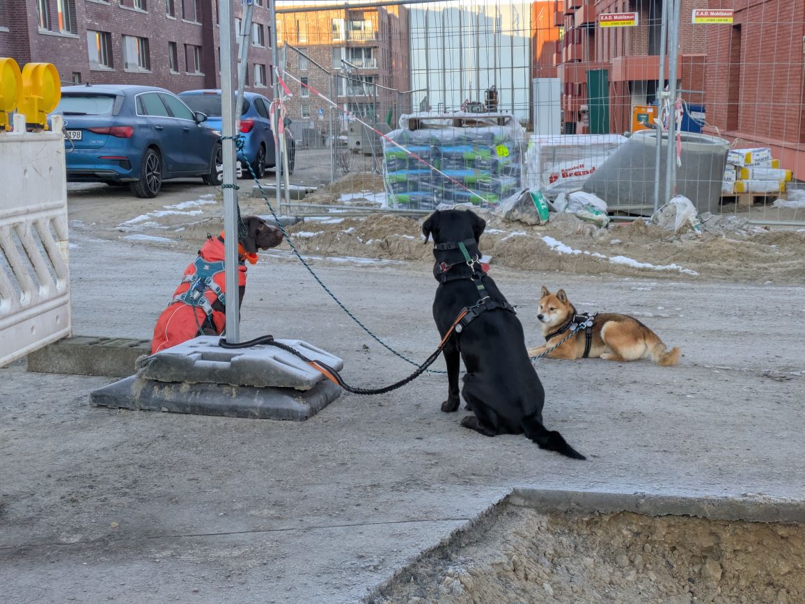 Sudo