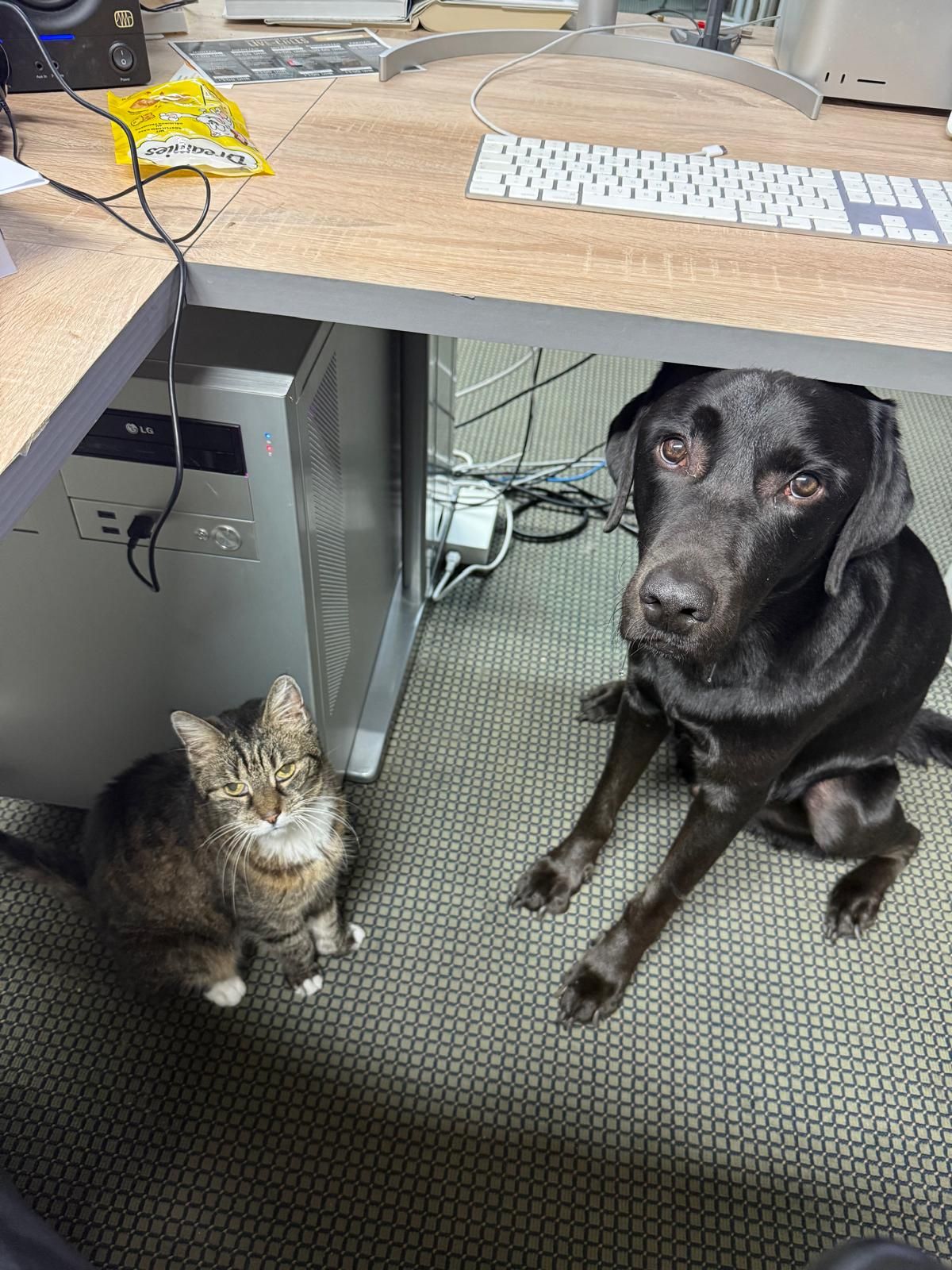 Sudo
