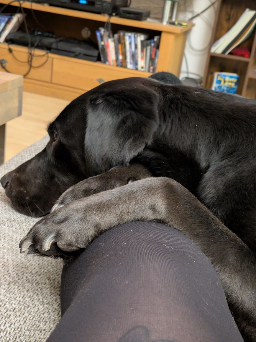 Sudo