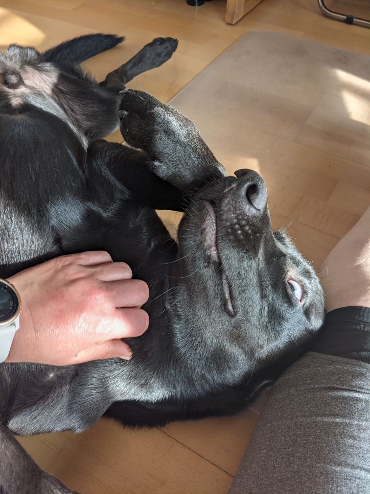 Sudo