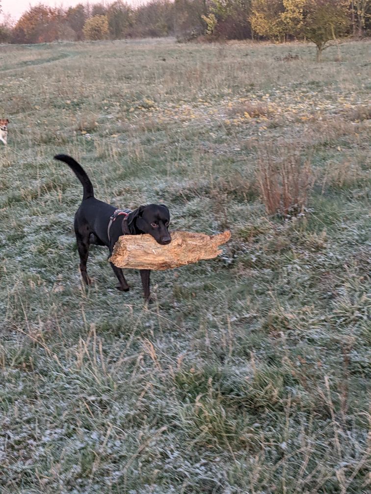 Sudo