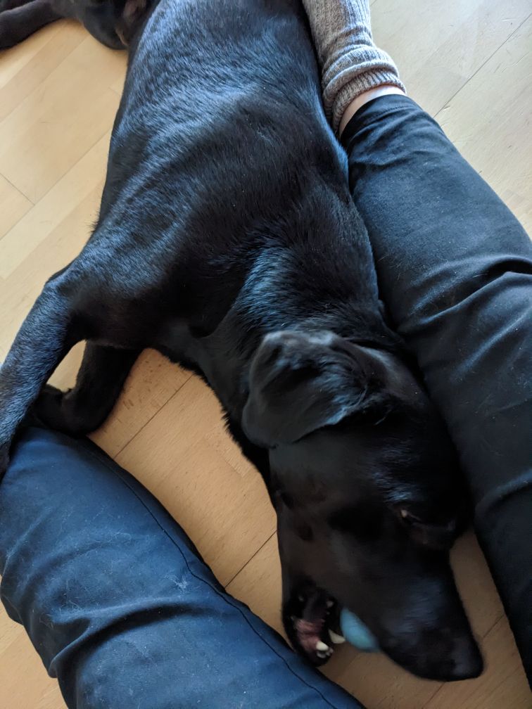 Sudo