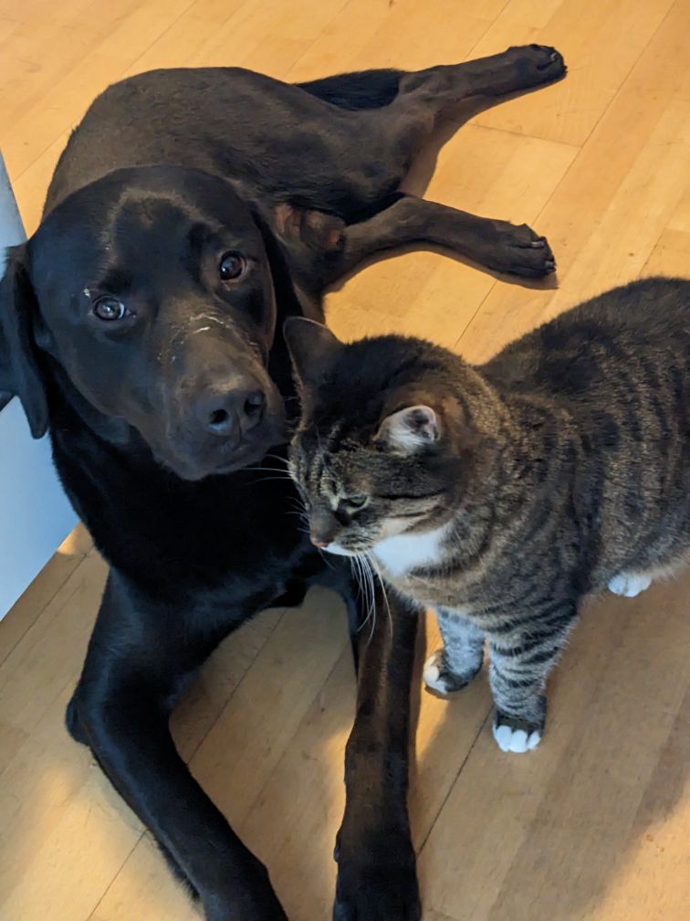 Sudo
