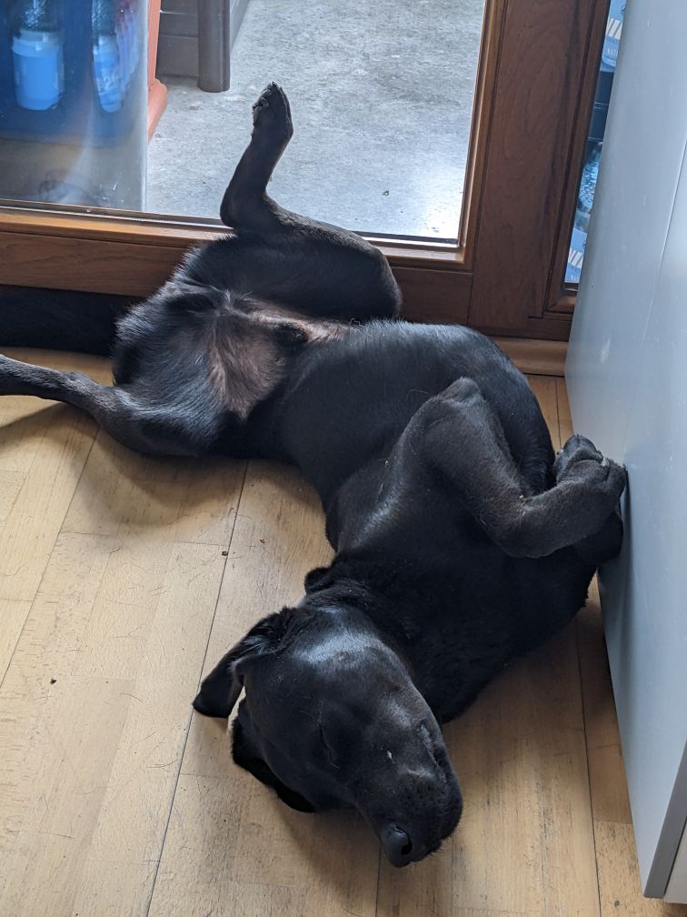 Sudo